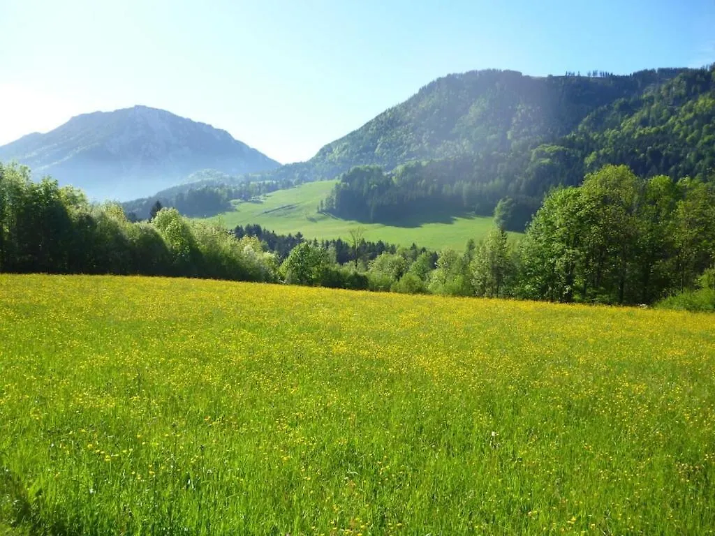 Thorau Alm Comfortable Ruhpolding